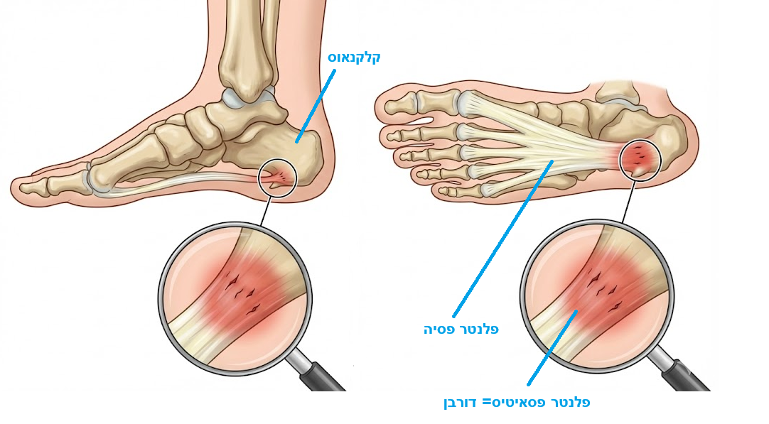 נושא 1 – כותרת הנושא